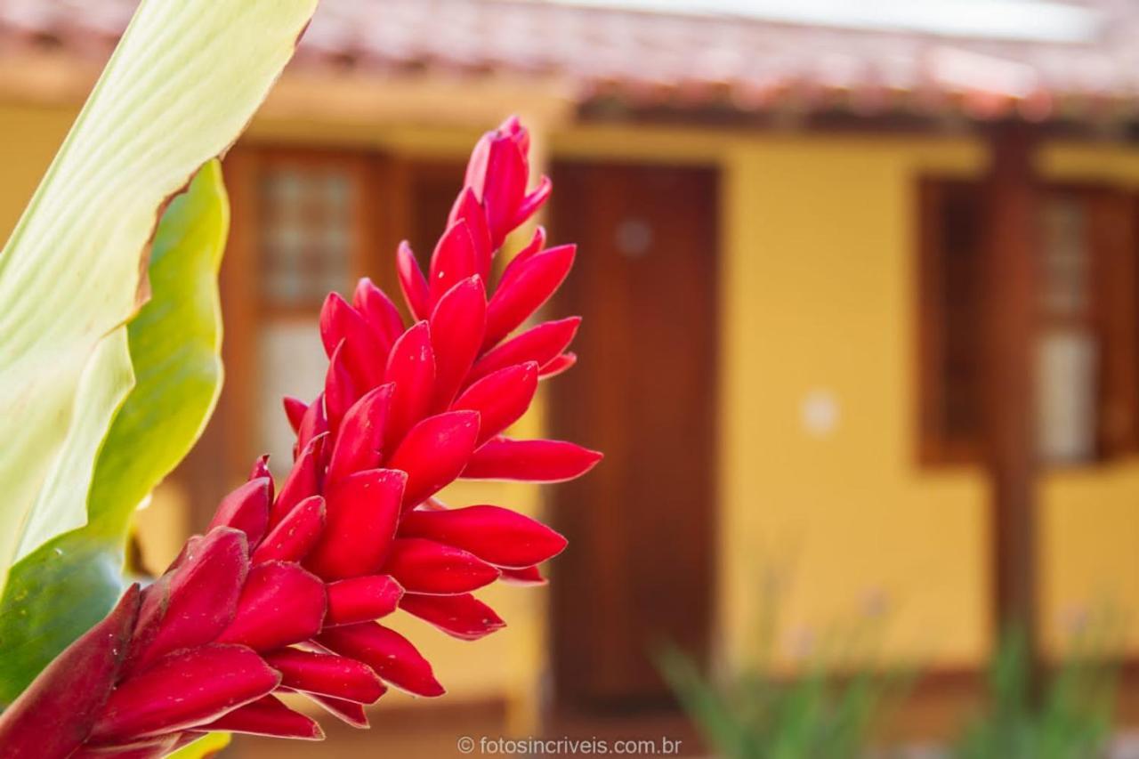 Pousada Natureza Divina Parati Exterior foto